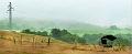 pano_paysage 24_07_2011n01